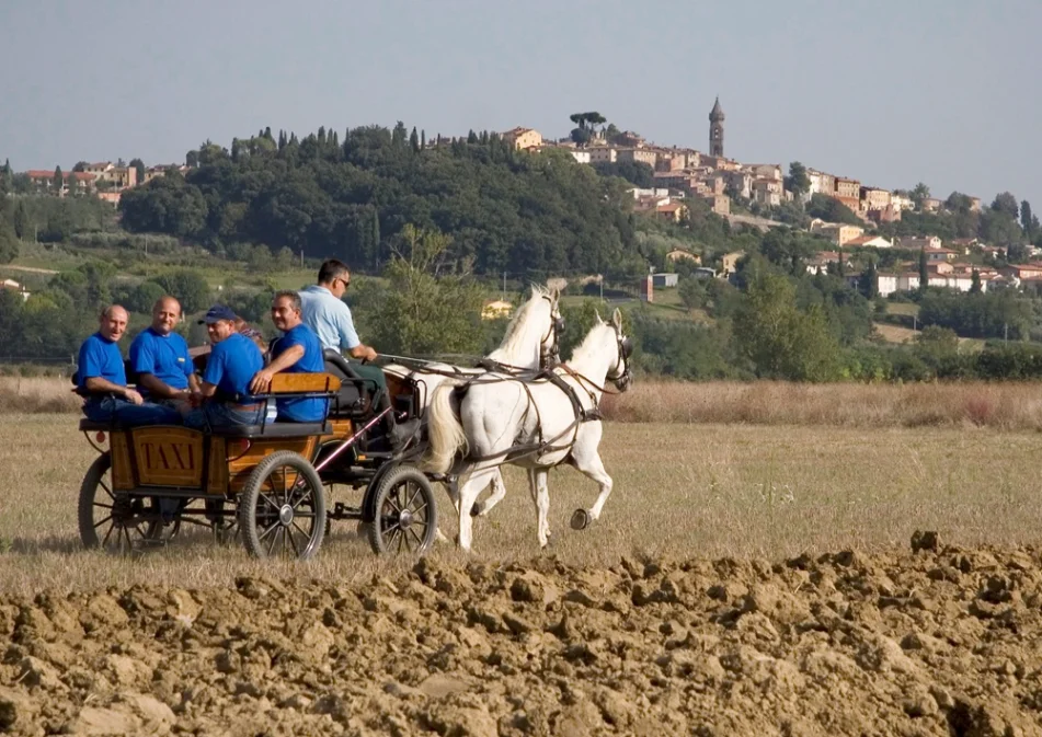dsj tuscany grand retreat CONTRUSIDE & NATURE