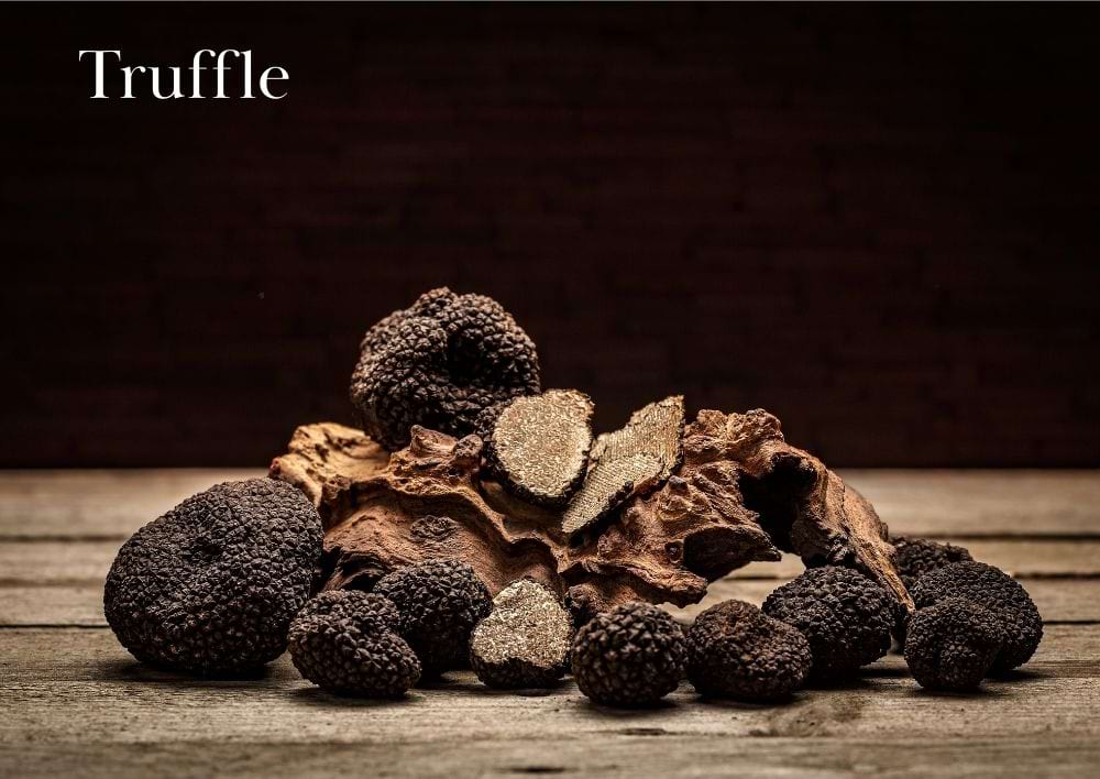 dsj tuscany home and villas what to visit 11