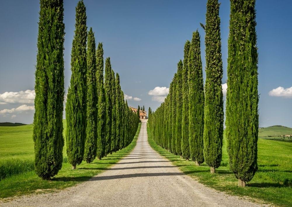 dsj tuscany home and villas what to visit 13