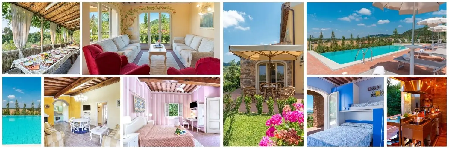 dsj collage contact page